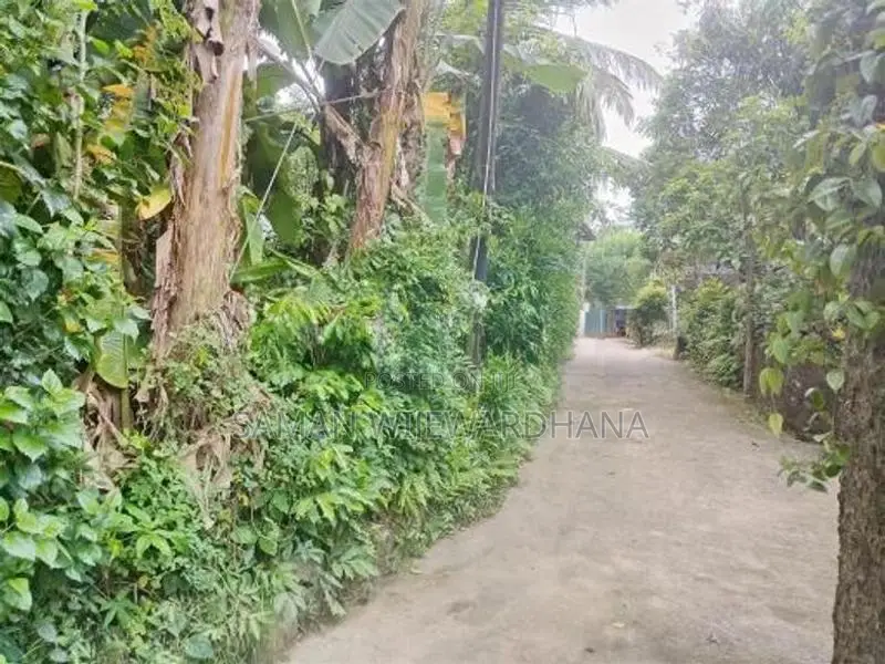 ගාල්ල බද්දේගම ප්‍රධාන පාරට 20m දුරින් මිපාවල ඉඩමක් විකිනිමට ඇත