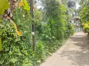 ගාල්ල බද්දේගම ප්‍රධාන පාරට 20m දුරින් මිපාවල ඉඩමක් විකිනිමට ඇත