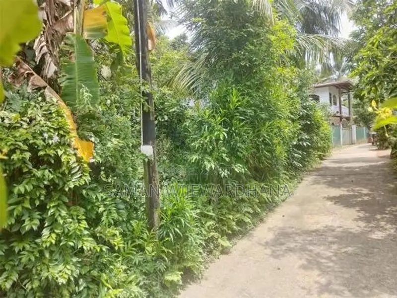 ගාල්ල බද්දේගම ප්‍රධාන පාරට 20m දුරින් මිපාවල ඉඩමක් විකිනිමට ඇත