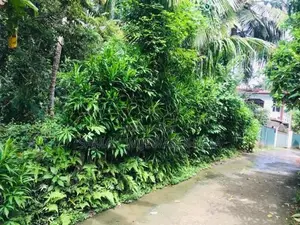 ගාල්ල බද්දේගම ප්‍රධාන පාරට 20m දුරින් මිපාවල ඉඩමක් විකිනිමට ඇත