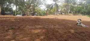 Land for Sale in Close to Kasbawa
