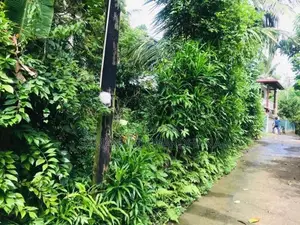 ගාල්ල බද්දේගම ප්‍රධාන පාරට 20m දුරින් මිපාවල ඉඩමක් විකිනිමට ඇත