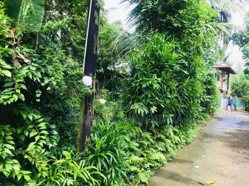 ගාල්ල බද්දේගම ප්‍රධාන පාරට 20m දුරින් මිපාවල ඉඩමක් විකිනිමට ඇත