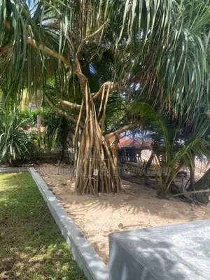 On The Beech Hotel For Sale Mirissa