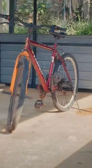 Lumala Bicycle