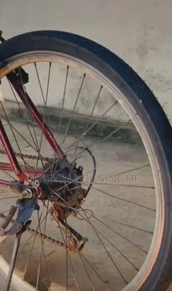 Lumala Bicycle