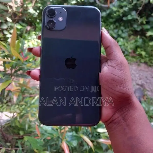 Apple iPhone 11 (Used)