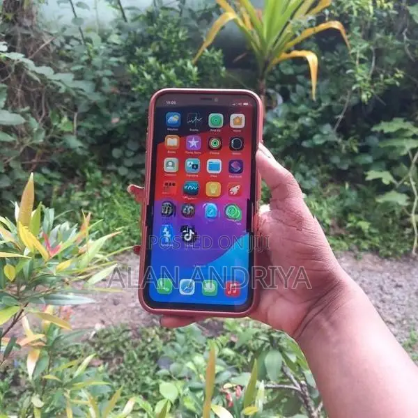Apple iPhone 11 (Used)