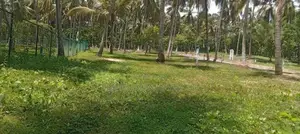 යක්කල ඉඩමක් විකිණීමට