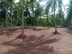 ගම්පහට ආසන්නව ඉඩමක් විකිණීමට