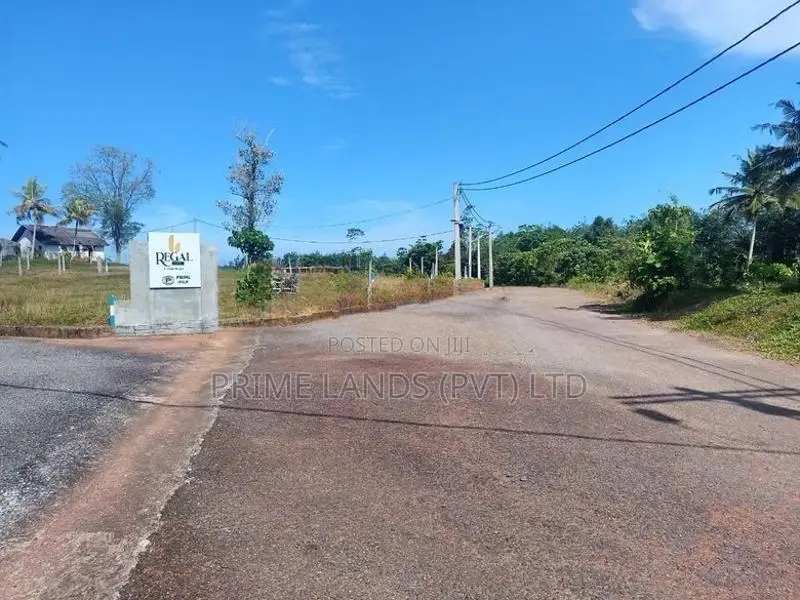 අළුත්ගමින් පර්චස් 12යි බිම් කොටස