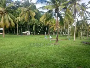 නාරම්මල නේවාසික බිම් කොටස් විකිණීමට
