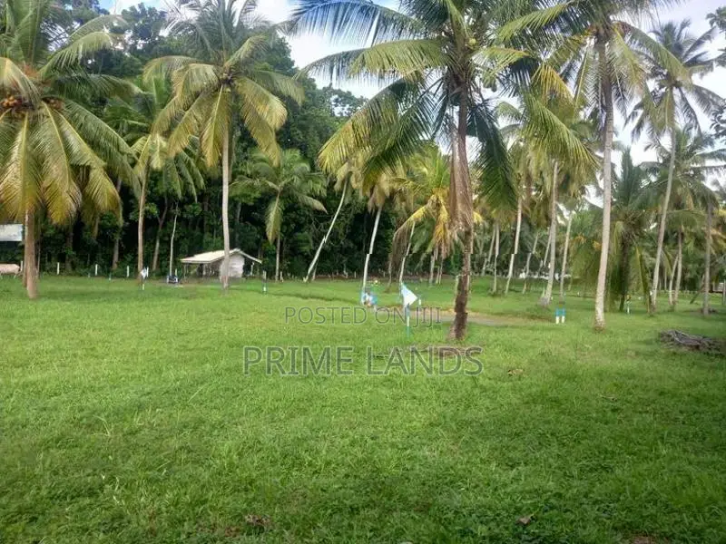 නාරම්මල නේවාසික බිම් කොටස් විකිණීමට