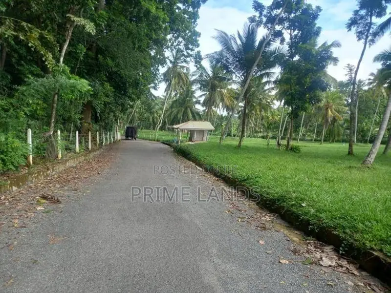 නාරම්මල නේවාසික බිම් කොටස් විකිණීමට