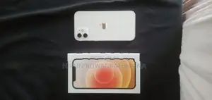 Apple iPhone 12 (Used)