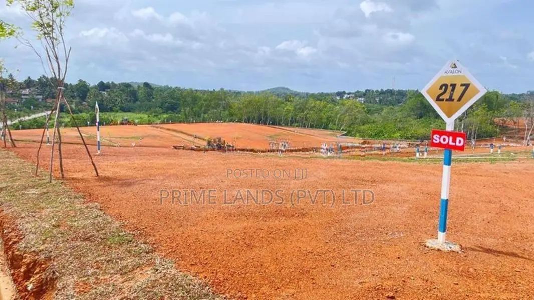 වැලිපැන්නට නුදුරින් වටිනා බිම්කොටස්