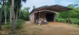 Rice Mill Factory Tissamaharama