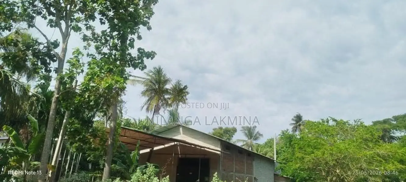 Rice Mill Factory Tissamaharama