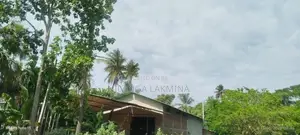 Rice Mill Factory Tissamaharama