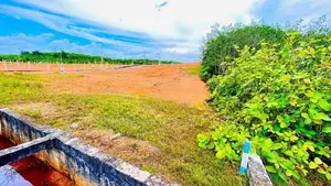අළුත්ගම නගරයට නුදුරින් අගනා බිම්කො ටස්
