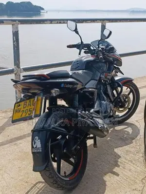 Bajaj Pulsar 135 2013