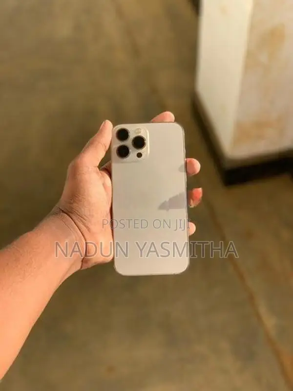 Apple iPhone 13 Pro Max (Used)