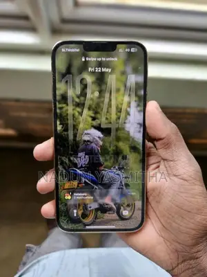 Apple iPhone 13 Pro Max (Used)