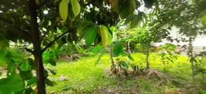 Super Land for Sale Maharagama