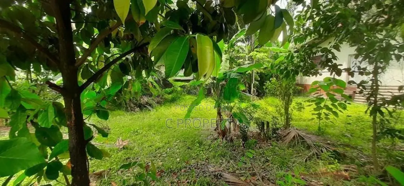 Super Land for Sale Maharagama