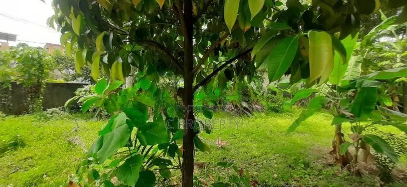 Super Land for Sale Maharagama