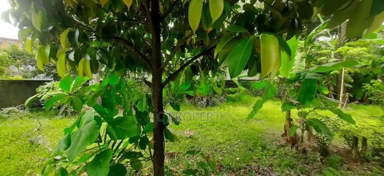 Super Land for Sale Maharagama