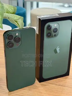 Apple iPhone 13 Pro Max 256GB (Used)