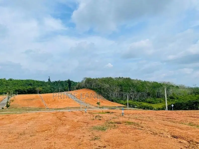 12.5 Perch Land in Aluthgama