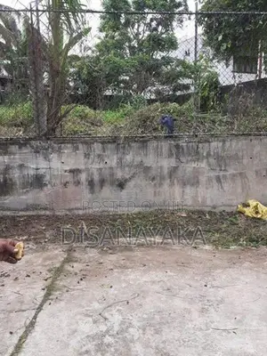 Super Land for Sale in Thalawathugoda Ds3012