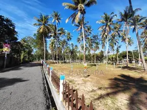 Main Road Facing Land for Sale in Mellawagedara P5