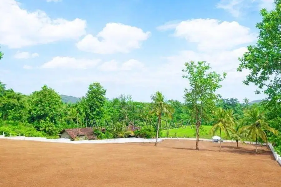 Land for Sale in Dambadeniya P8