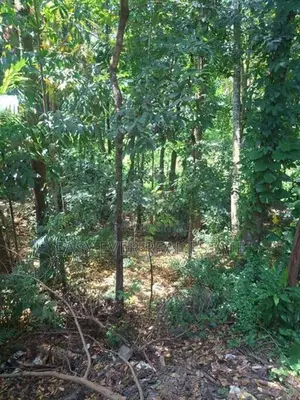 Land for Sale in Kandy