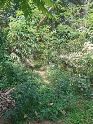 Land for Sale in Kandy
