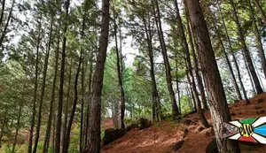Land for Sale in Ella