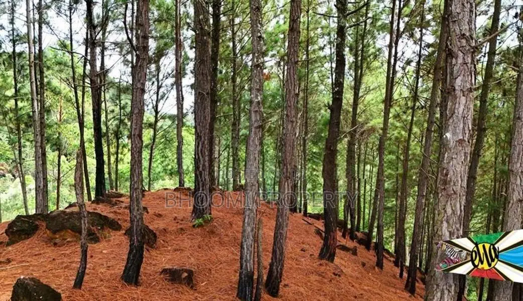 Land for Sale in Ella