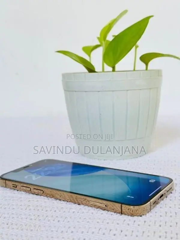 Apple iPhone 12 Pro 256GB (Used)