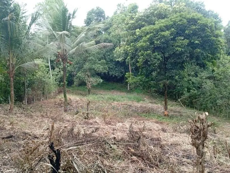 Kuruwita 40 P Prime Land for Sale