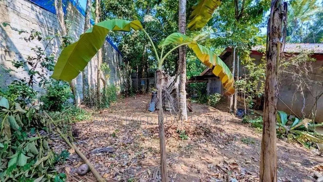 රාගම බටුවත්තෙන් අගනා ඉඩමක්