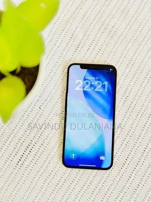 Apple iPhone 12 Pro 256GB (Used)