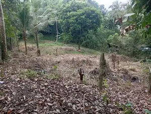 Kuruwita 40 P Prime Land for Sale
