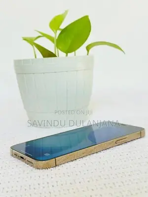 Apple iPhone 12 Pro 256GB (Used)