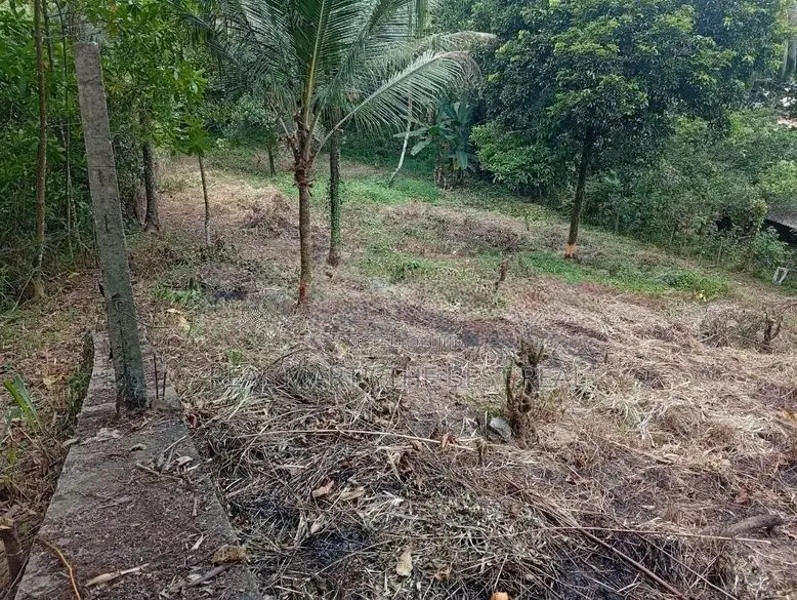 Kuruwita 40 P Prime Land for Sale