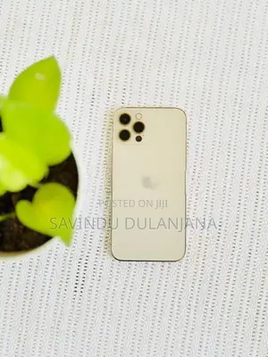 Apple iPhone 12 Pro 256GB (Used)