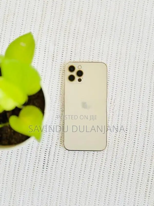 Apple iPhone 12 Pro 256GB (Used)
