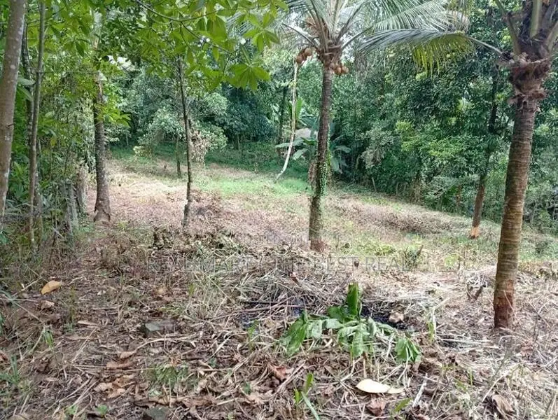 Kuruwita 40 P Prime Land for Sale